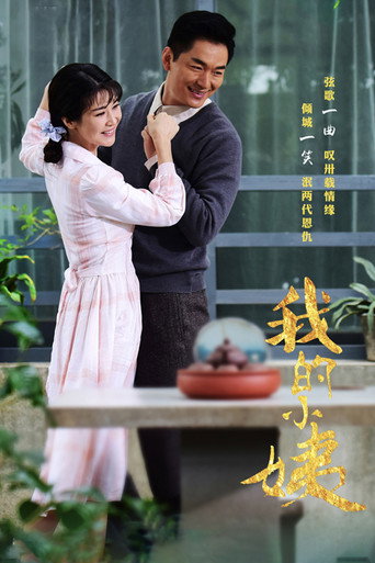 我的小姨海报