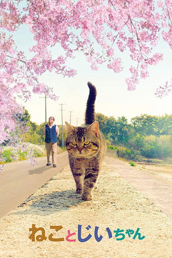 猫与爷爷海报