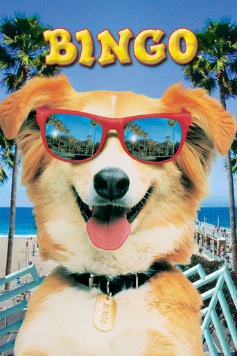 灵犬宾果海报