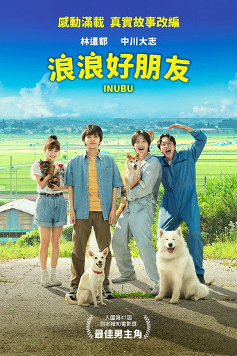 犬部！海报