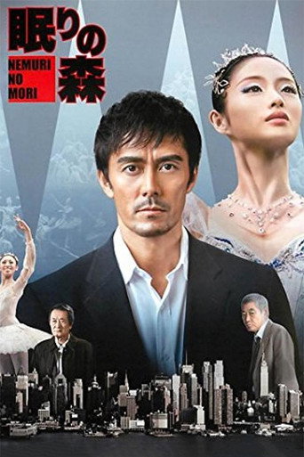 沉睡的森林海报