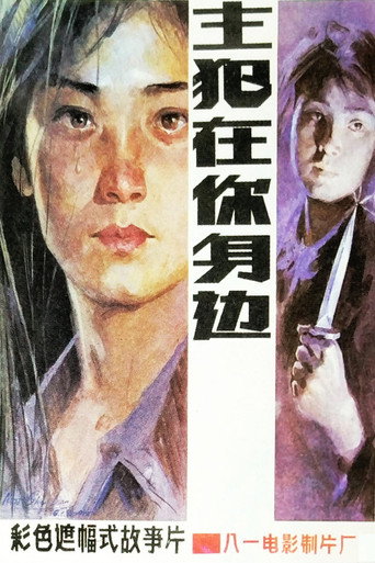 主犯在你身边海报