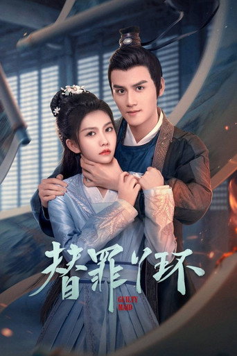 替罪丫环海报