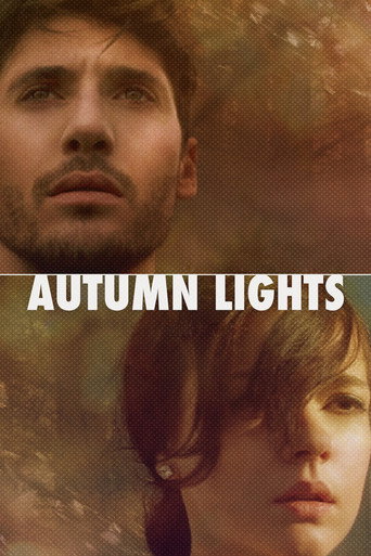 秋日之光海报