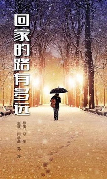 回家的路有多远海报