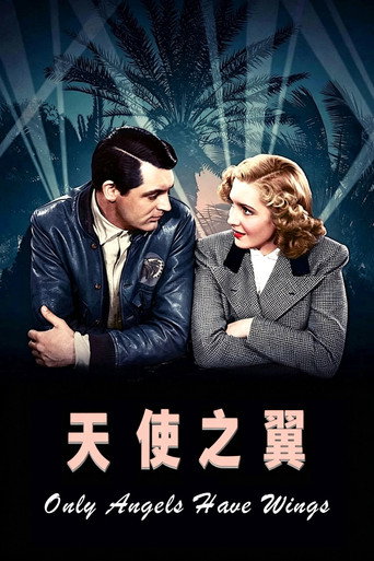 天使之翼海报