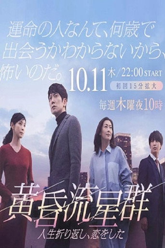 黄昏流星群海报