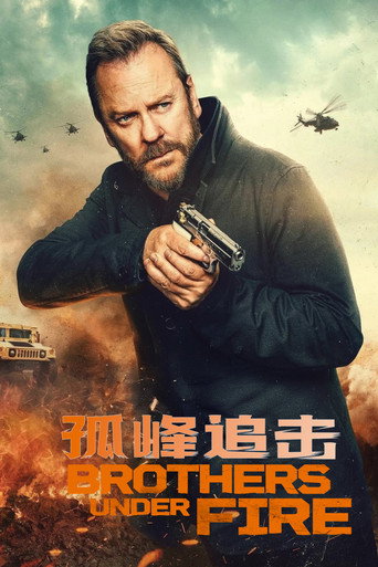 孤峰追击海报