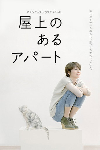 屋顶的公寓海报