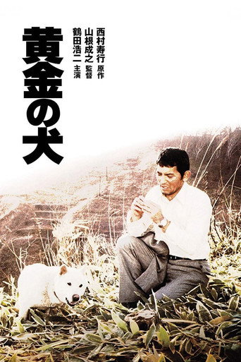 黄金之犬海报