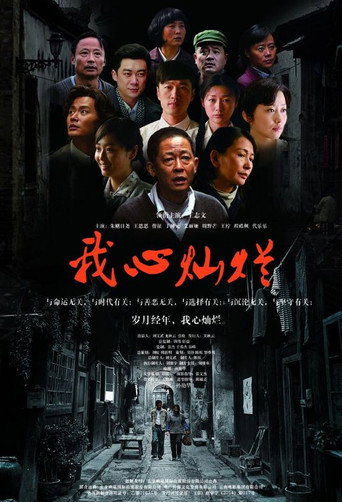 我心灿烂海报