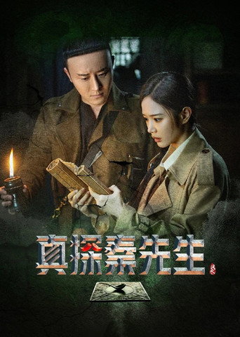 真探秦先生 第1季海报