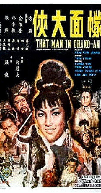 蒙面大侠海报