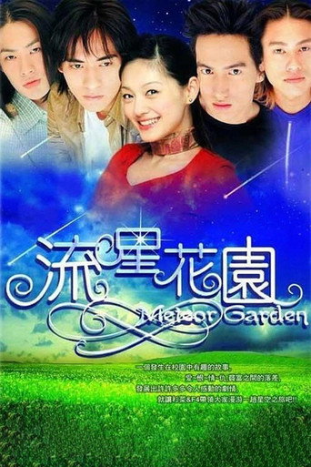 流星花园海报
