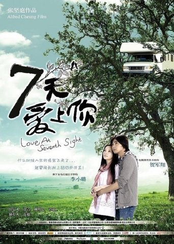 7天爱上你海报