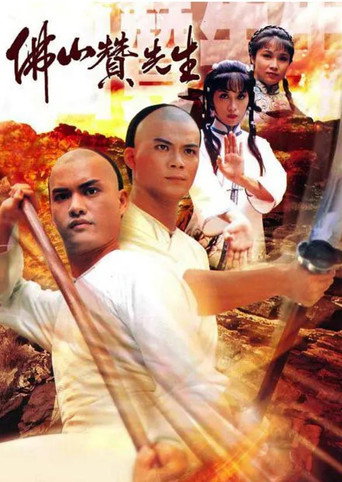佛山赞先生海报