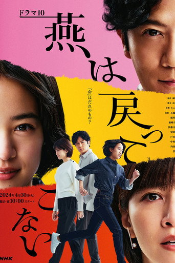 燕子不再归来海报