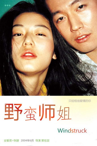 野蛮师姐海报