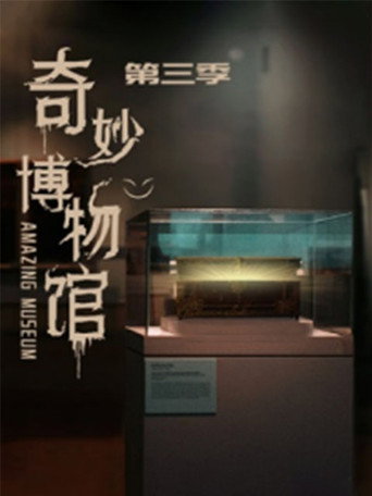 奇妙博物馆 第3季海报