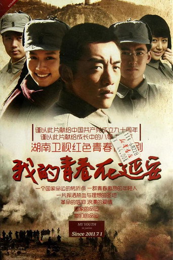 我的青春在延安海报