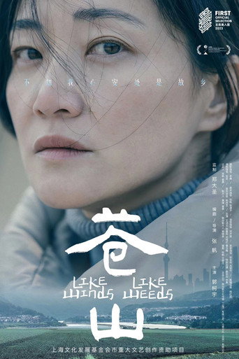 苍山海报