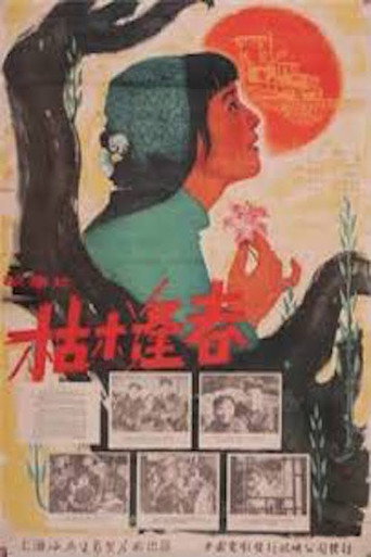 枯木逢春海报