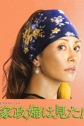 家政妇看见了!海报
