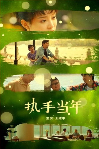 执手当年海报