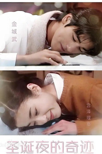 圣诞夜的奇迹海报