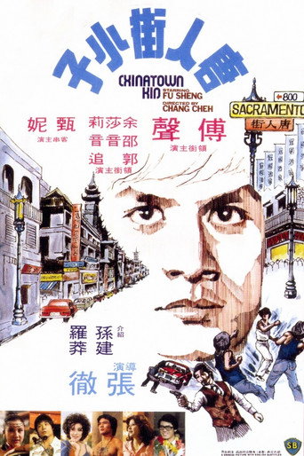 唐人街小子海报