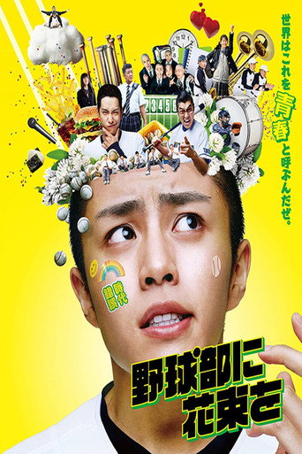 献给棒球部的花束海报