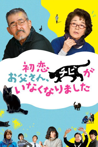 只有喵知道海报