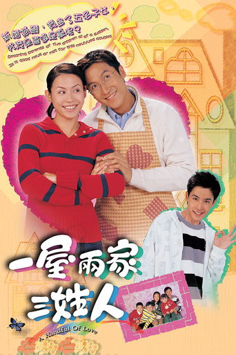 一屋两家三姓人海报