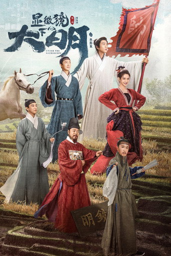显微镜下的大明之丝绢案海报