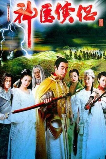 神医侠侣海报