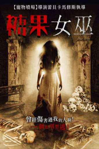 糖果女巫海报