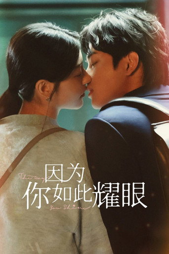 因为你如此耀眼海报