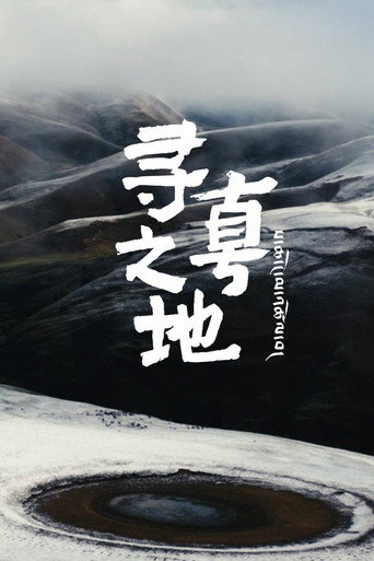寻真之地海报