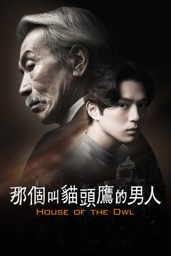那个叫猫头鹰的男人海报