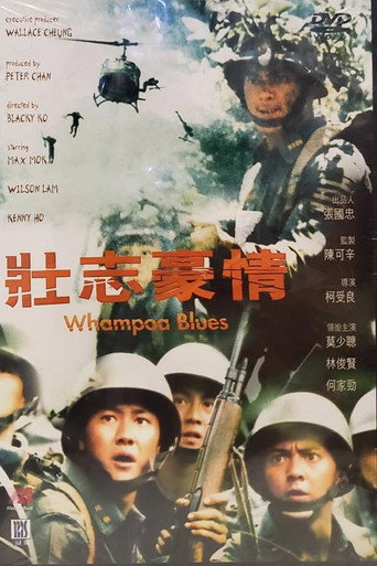 壮志豪情海报