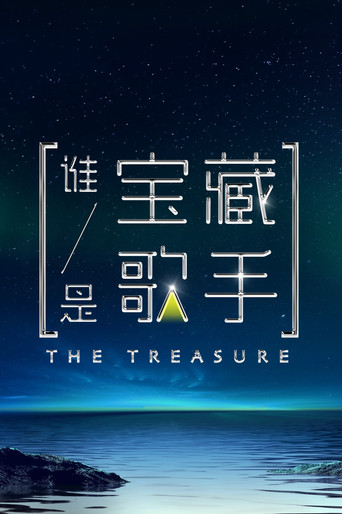 谁是宝藏歌手海报
