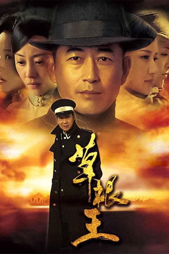 草根王海报