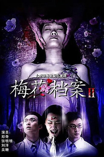梅花档案 梅花档案2海报