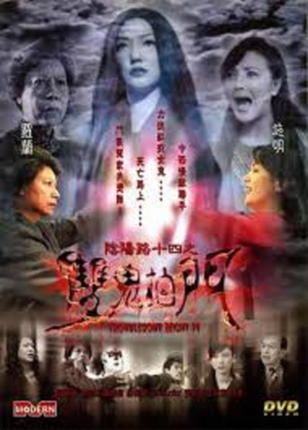 阴阳路14：双鬼拍门海报