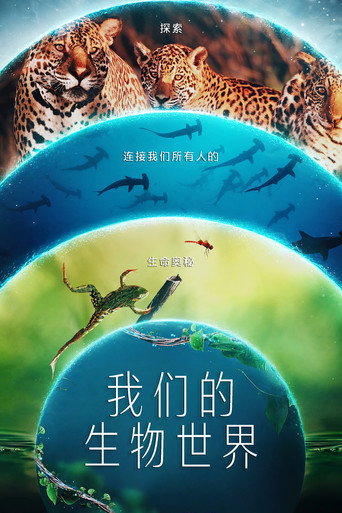 我们的生物世界海报
