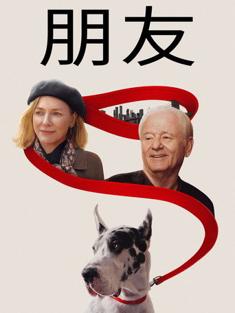 朋友海报