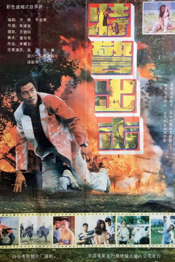 特警出击海报
