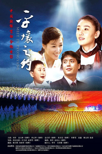 平壤之约海报