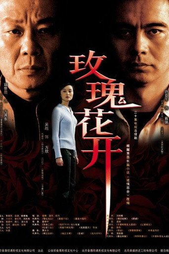 玫瑰花开海报