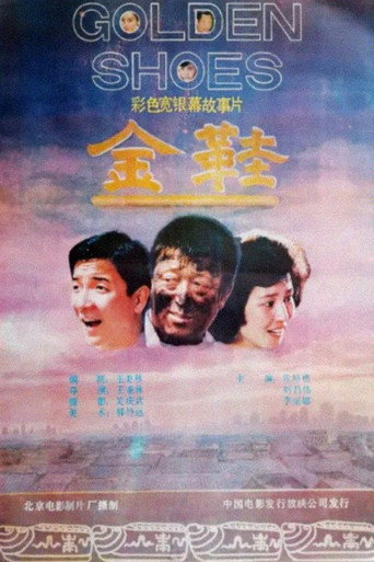 金鞋海报